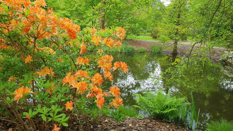 240503 Wandelin Het Leen