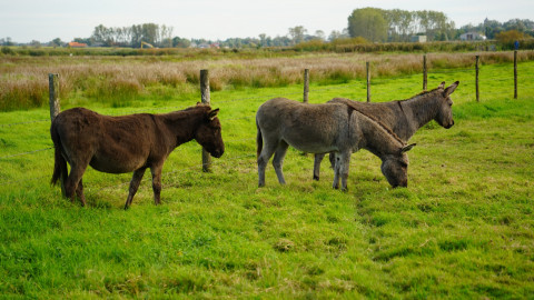 20241004 Wandelweekend Izenberge