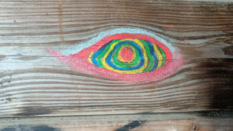 250110 Vinderhoute-Vijver-Wand-Kijkhut