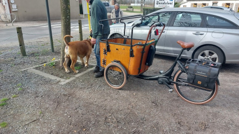 260306 Wandeling Lozer - "Lozerbos en platteland " 